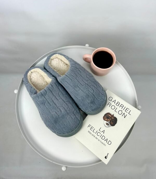 WhatsApp Image 2026-06-02 at 13.22.55 (1) Pantuflas Lisas Grises